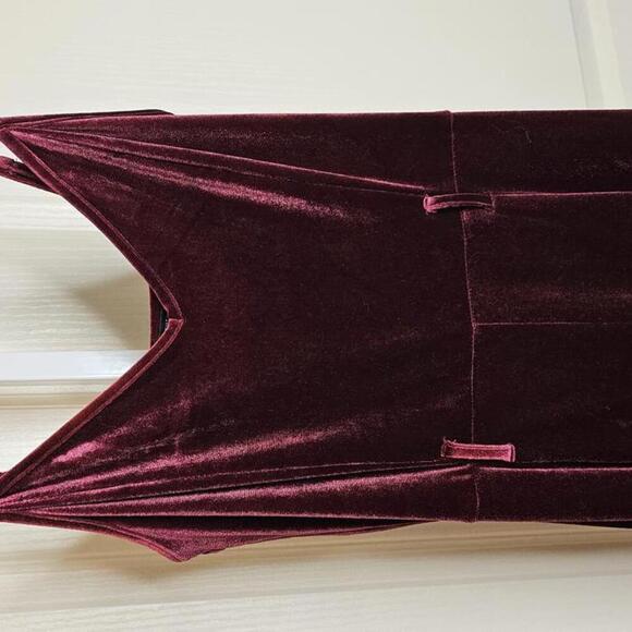 Forever 21 Burgundy Velvet Jumper - Picture 2 of 7